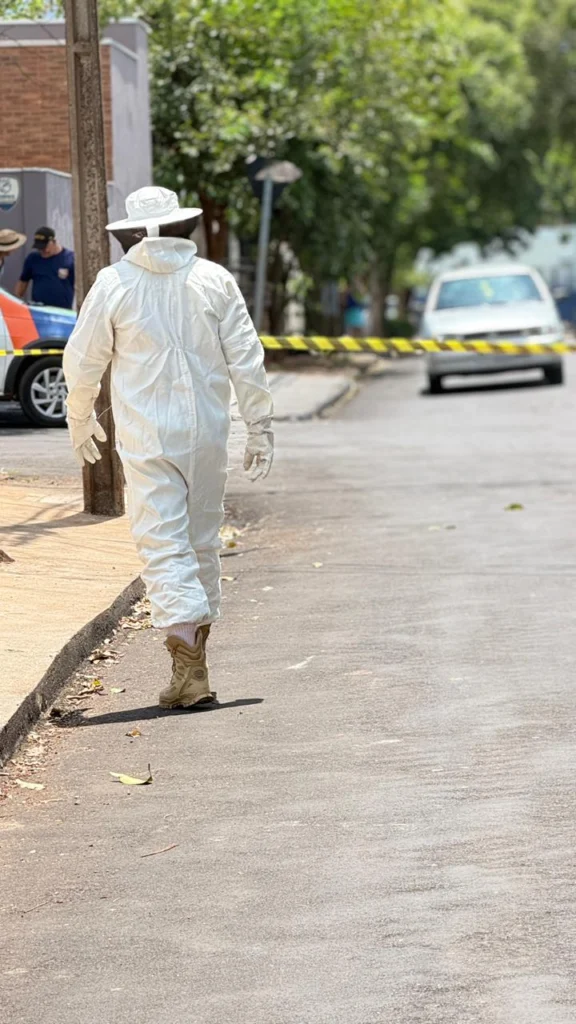 Imagem do WhatsApp de 2025-12-29 à(s) 13.44.30_b58078ad