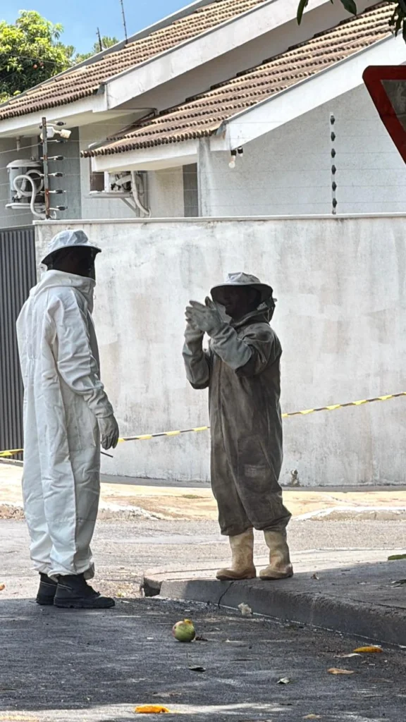 Imagem do WhatsApp de 2025-12-29 à(s) 13.44.30_f7379d89