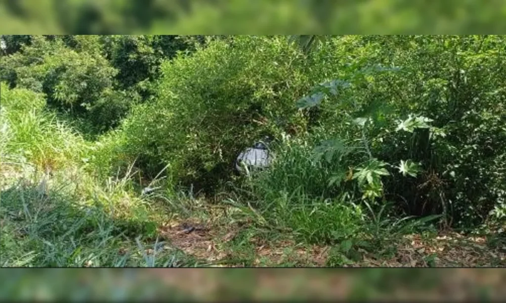 O-carro-desceu-o-barranco-e-foi-parar-em-uma-area–01046543-0-202512041646-ProportionalFillBackground