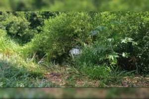 O-carro-desceu-o-barranco-e-foi-parar-em-uma-area–01046543-0-202512041646-ProportionalFillBackground