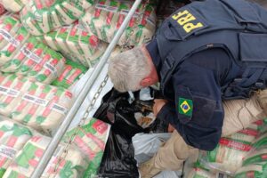 WhatsApp Image 2025-12-01 at 16.44.25