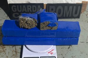 WhatsApp Image 2025-12-02 at 12.24.33 (1)