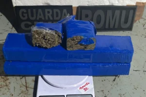 WhatsApp Image 2025-12-02 at 12.24.33 (1)