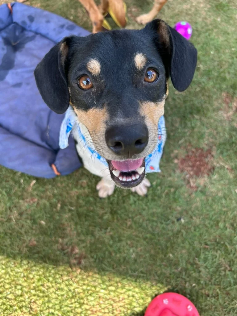 WhatsApp Image 2025-12-04 at 15.53.34