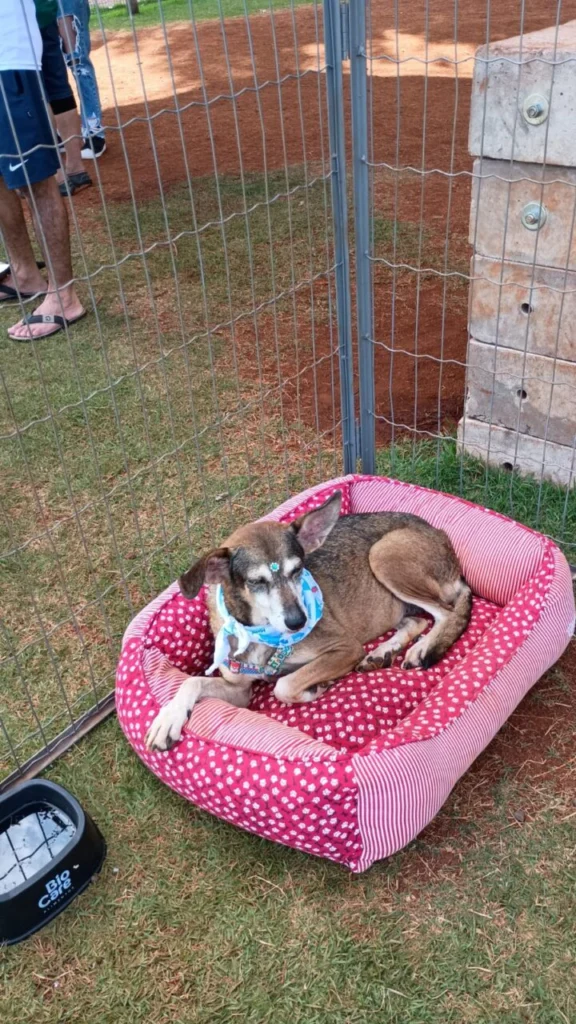 WhatsApp Image 2025-12-04 at 15.53.37