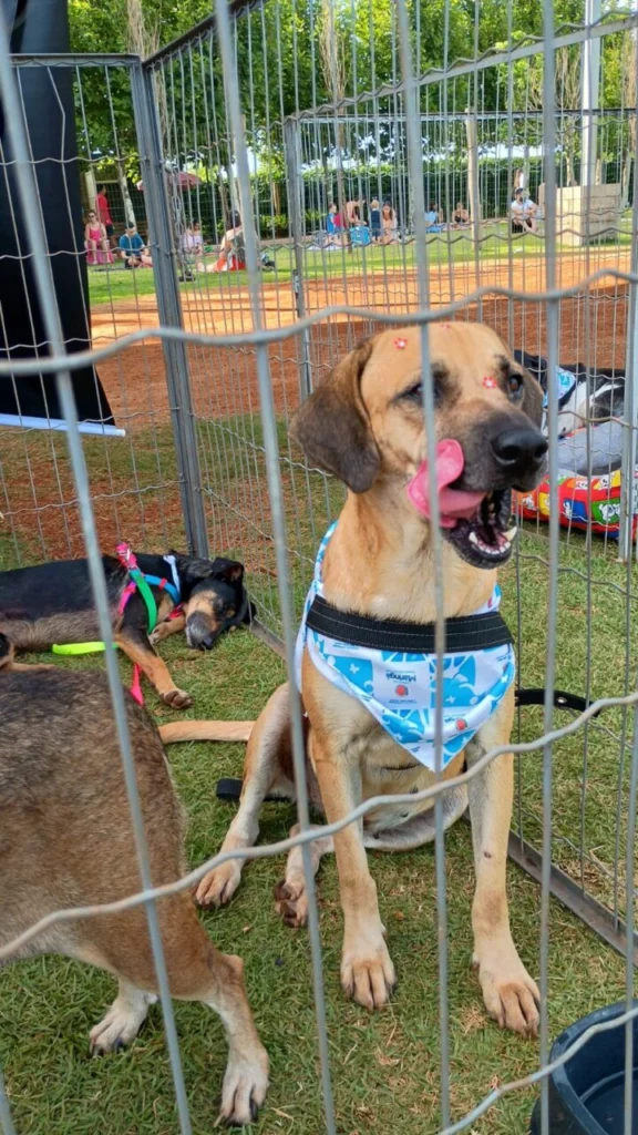 WhatsApp Image 2025-12-04 at 15.53.38 (1)