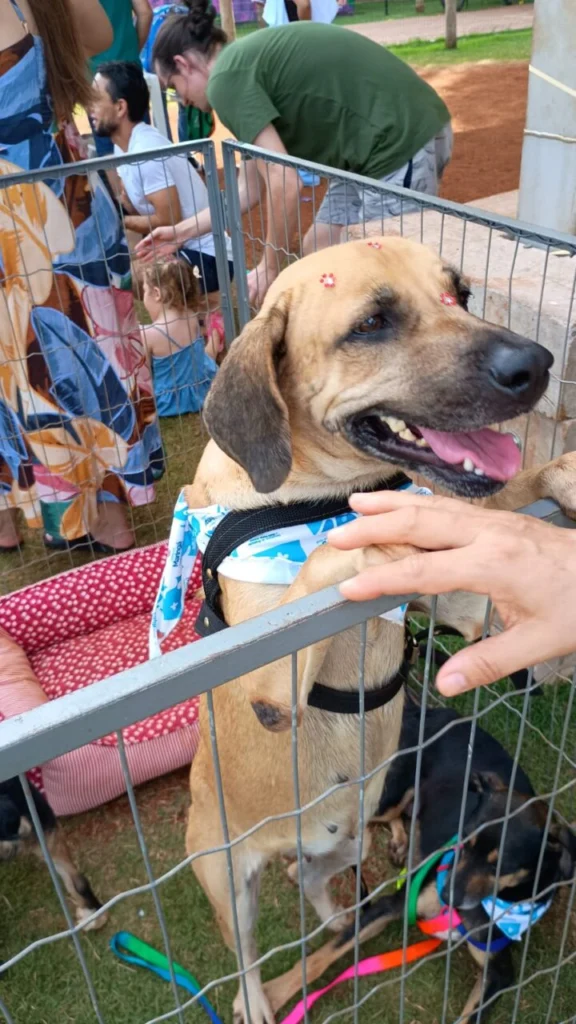 WhatsApp Image 2025-12-04 at 15.53.38