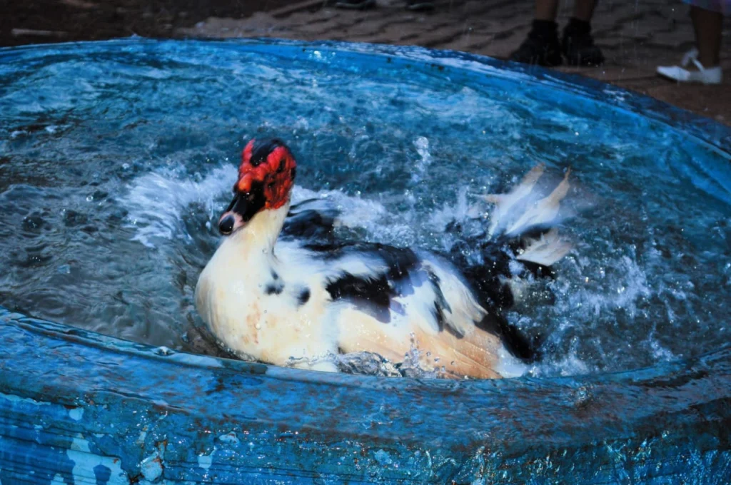 WhatsApp Image 2025-12-04 at 18.14.40