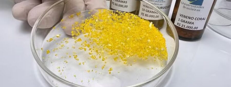 WhatsApp Image 2025-12-05 at 08.41.32