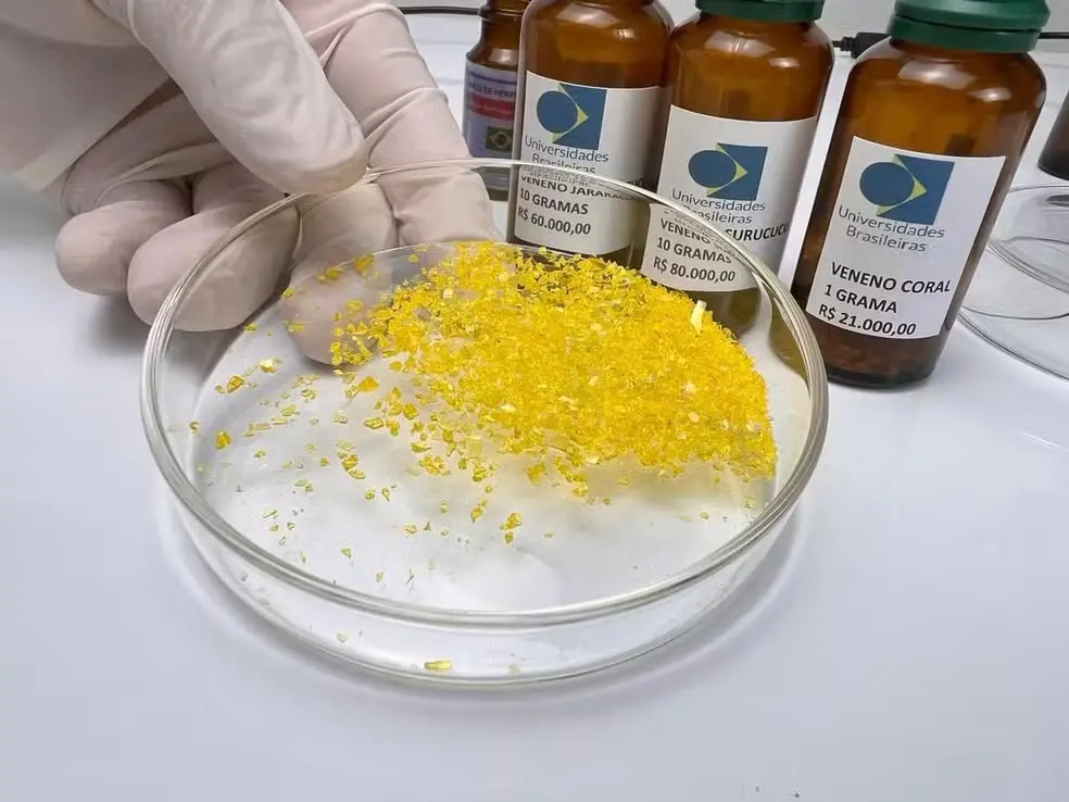 WhatsApp Image 2025-12-05 at 08.41.32