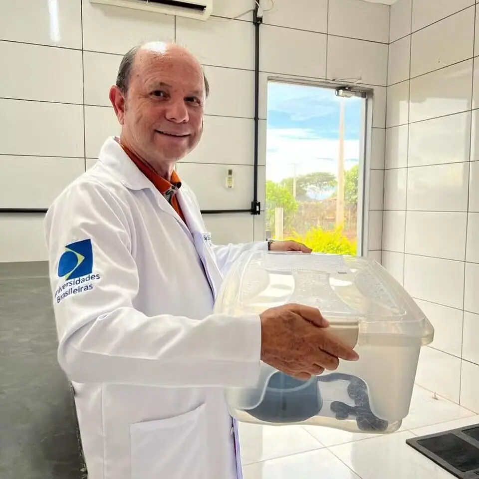 WhatsApp Image 2025-12-05 at 08.42.21