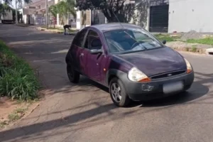 WhatsApp Image 2025-12-05 at 15.51.00 (1)