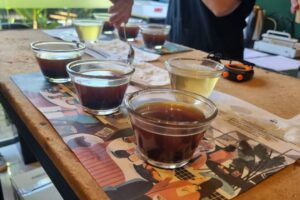 Cafeteria de Maringá vai servir cafés campeões do cerrado mineiro