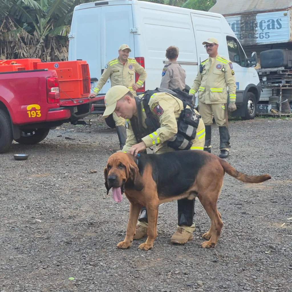 WhatsApp Image 2025-12-06 at 18.08.46