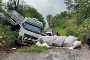 WhatsApp Image 2025-12-09 at 15.43.19