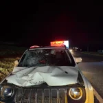 WhatsApp Image 2025-12-10 at 08.30.59