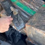 WhatsApp Image 2025-12-11 at 16.52.05