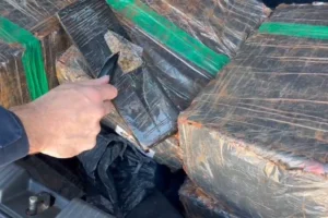 WhatsApp Image 2025-12-11 at 16.52.05