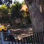 WhatsApp Image 2025-12-11 at 18.34.39