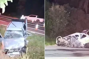 WhatsApp Image 2025-12-12 at 15.04.21