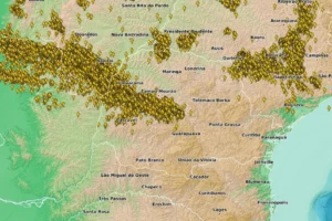 WhatsApp Image 2025-12-12 at 15.10.53