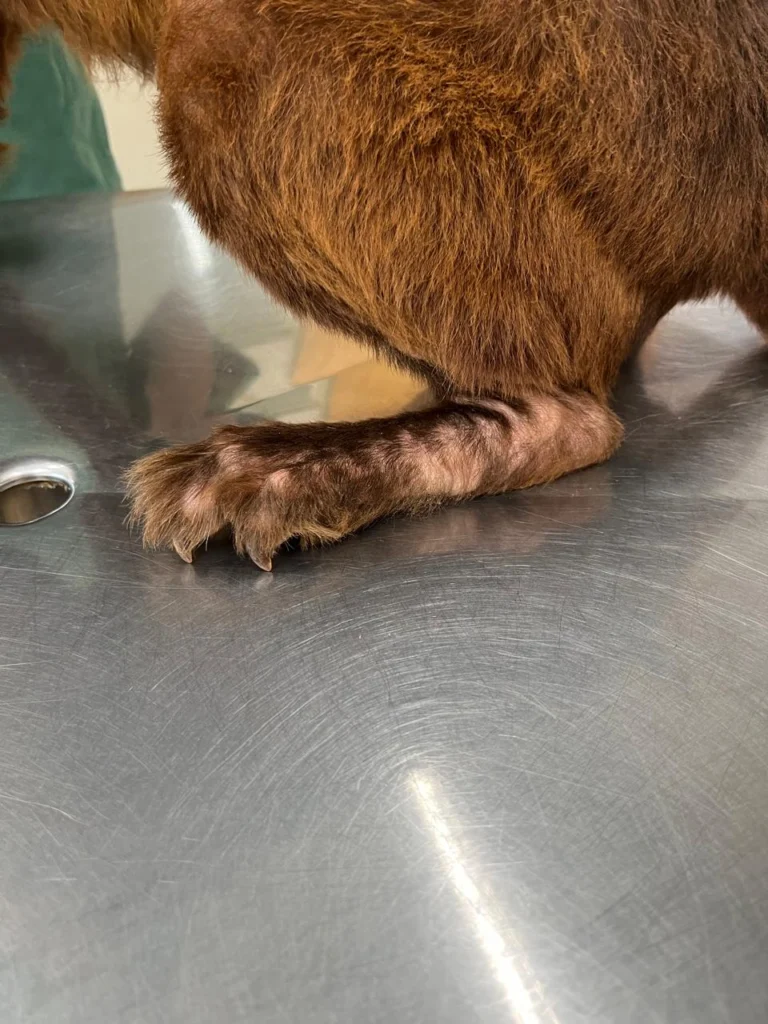 WhatsApp Image 2025-12-12 at 15.18.16 (1)