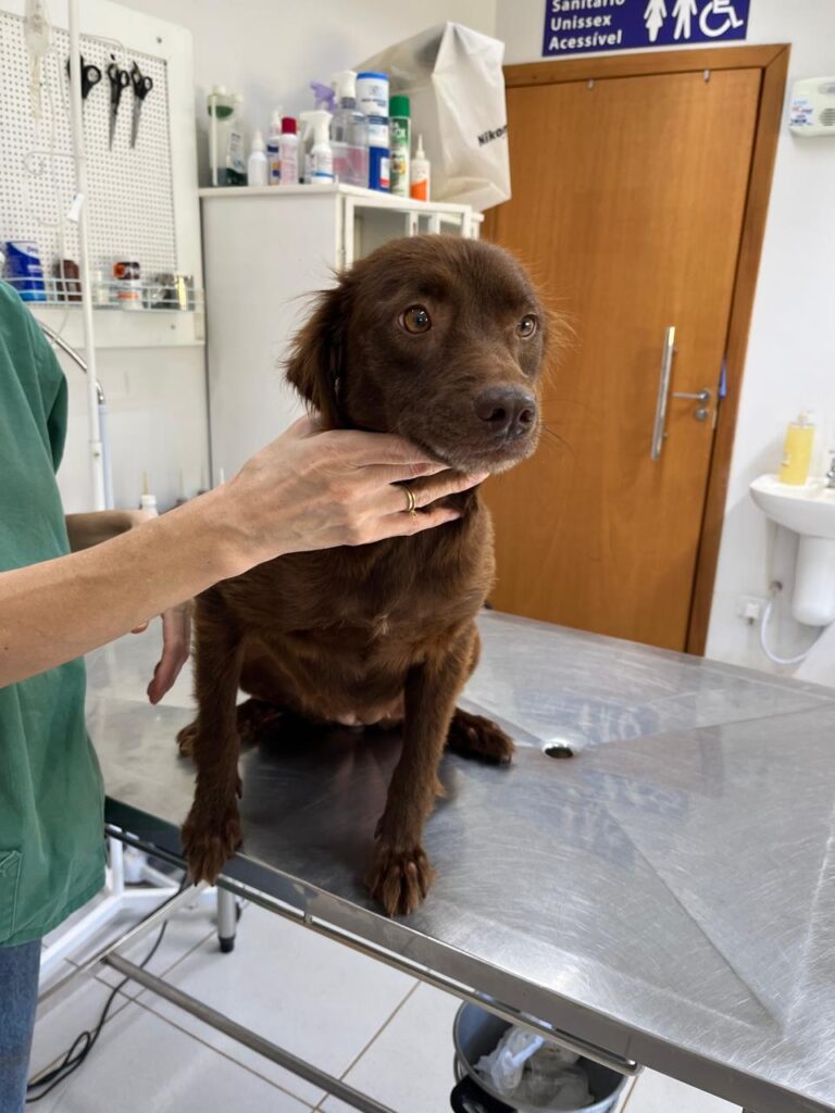 WhatsApp Image 2025-12-12 at 15.18.17 (1)