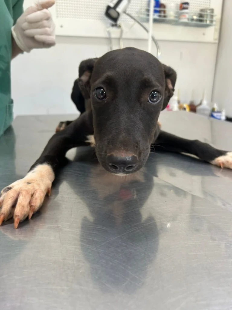 WhatsApp Image 2025-12-12 at 15.18.17