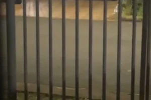 WhatsApp Image 2025-12-12 at 15.24.49