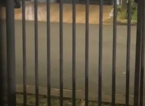 WhatsApp Image 2025-12-12 at 15.24.49