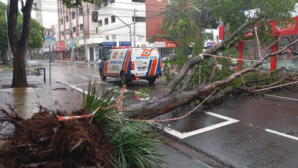 WhatsApp Image 2025-12-13 at 09.59.11 (2)