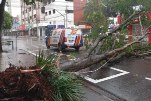 WhatsApp Image 2025-12-13 at 09.59.11 (2)