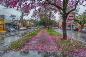 WhatsApp Image 2025-12-14 at 08.04.36