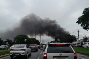 WhatsApp Image 2025-12-14 at 17.02.34