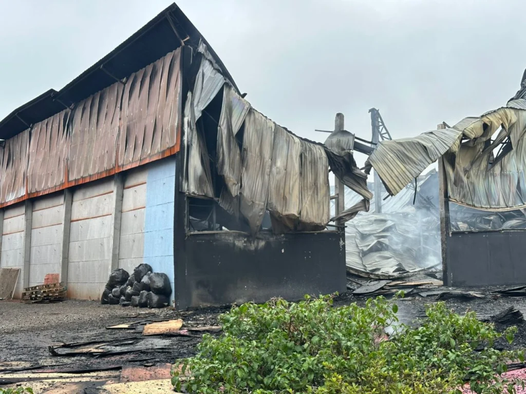 WhatsApp Image 2025-12-15 at 07.46.17 (1)