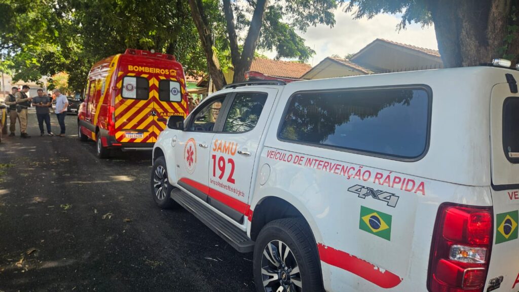 WhatsApp Image 2025-12-15 at 15.26.05