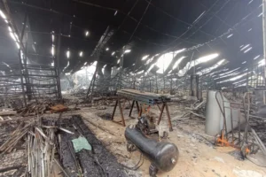 WhatsApp Image 2025-12-15 at 15.26.49