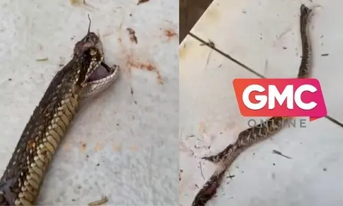 WhatsApp Image 2025-12-16 at 11.20.31