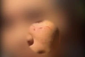 WhatsApp Image 2025-12-16 at 17.44.05