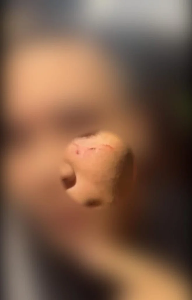 WhatsApp Image 2025-12-16 at 17.44.05