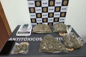 WhatsApp Image 2025-12-17 at 08.20.31