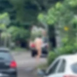 WhatsApp Image 2025-12-17 at 17.01.14