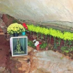 WhatsApp Image 2025-12-18 at 10.26.37