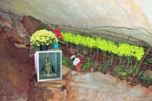 WhatsApp Image 2025-12-18 at 10.26.37