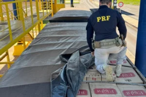 WhatsApp Image 2025-12-19 at 14.26.20 (1)