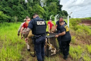 WhatsApp Image 2025-12-21 at 16.10.56