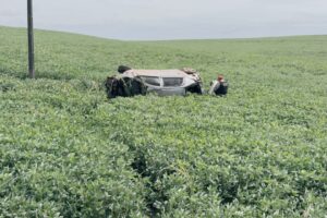 WhatsApp Image 2025-12-22 at 08.09.49 (1)