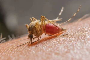 WhatsApp Image 2025-12-22 at 15.32.24