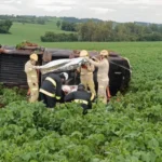 WhatsApp Image 2025-12-22 at 21.13.04