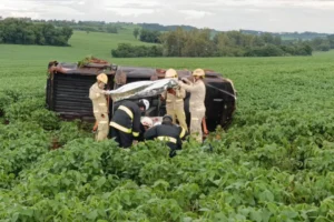 WhatsApp Image 2025-12-22 at 21.13.04